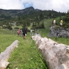 Familienwanderung Steyrerhütte 15.16.-Juni